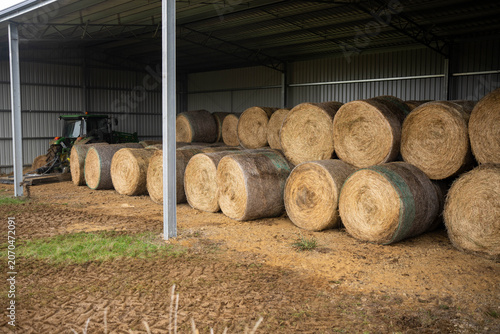 Large Round Hay Bales Stacked Inside a Modern Farm Shed for Winter Livestock Feed Storage on Ranch in australia