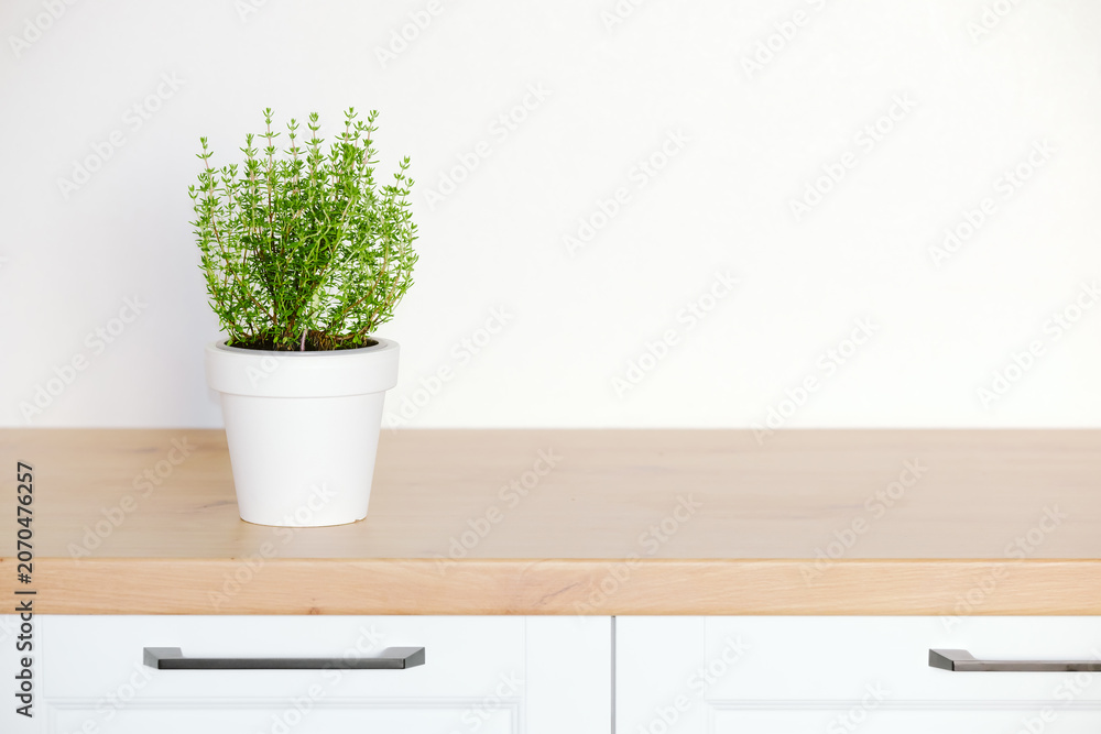 Obraz premium Fresh thyme plant in white pot on wooden kitchen counter with copy space