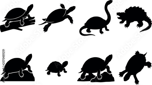 Photography Black turtle and tortoise silhouettes set isolated on a white background for ani