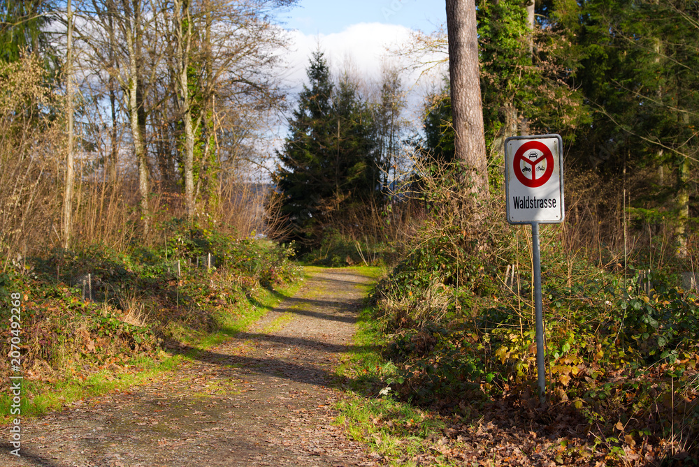 Naklejka premium Forest road with traffic sign no motor vehicles allowed at Swiss village of Rümlang on an autumn day. Photo taken November 27th, 2025, Zurich Rümlang, Switzerland.