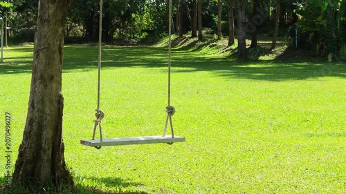 A swing in a garden with a grassy area.