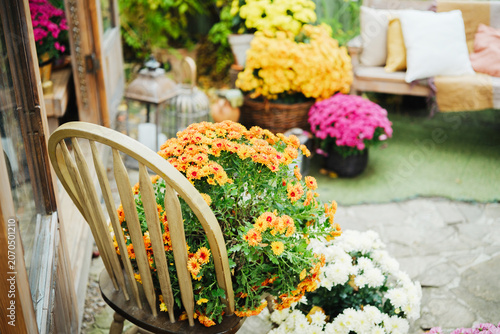 Bild auf Leinwand Outdoor patio with fall mums and seating vignette with vintage lantern