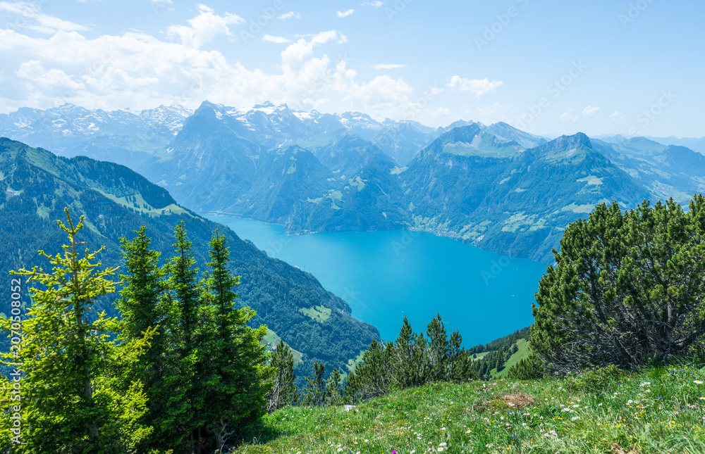Fototapeta premium Stoos gratweg hike overlooking lake lucerne switzerland