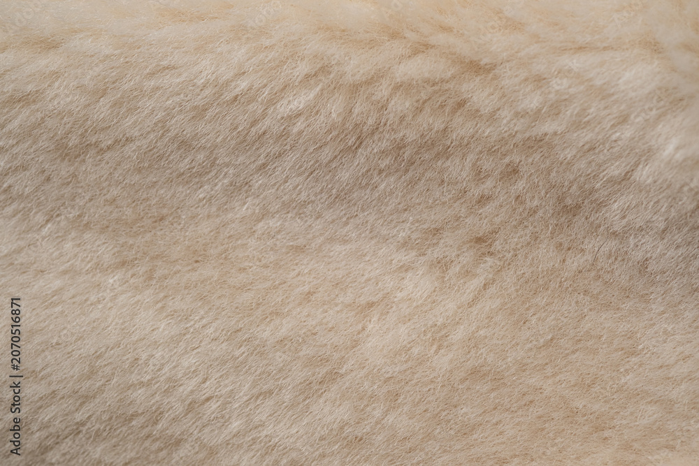 Obraz premium Warm soft fluffy beige light brown texture of cozy faux fur fabric material closeup view