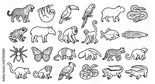 Canvas Print Animal Line Art Vector Mega Set | Black and White Wildlife Outline Collection Bu