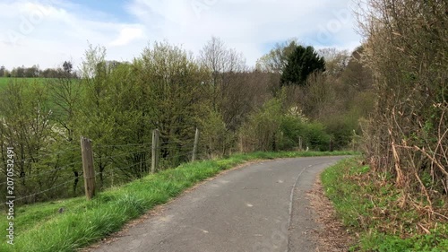 Forest landscape with idyllic paved road or hiking trail footpath wooden fence barrier and trees with green lush foliage natural wilderness in Westerwald in Germany Europe