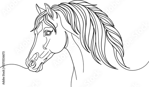 Bild auf Leinwand Elegant horse head outline drawing, graceful animal portrait, simple line art