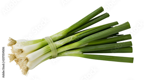 Fotografía Fresh green onions tied with a rubber band, isolated on transparent background
