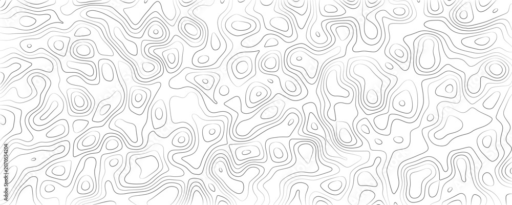 Fototapeta premium Topographic map contour lines pattern, abstract grey wavy lines on a white background, cartographic elevation landscape texture