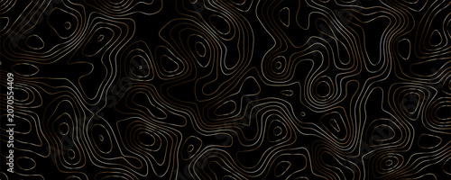Obraz na plátně Abstract topographic map pattern with thin, glowing copper-colored contour lines