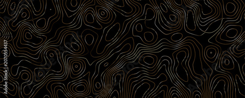 Fotografie Topographic map pattern with thin, wavy, copper-colored contour lines on a solid