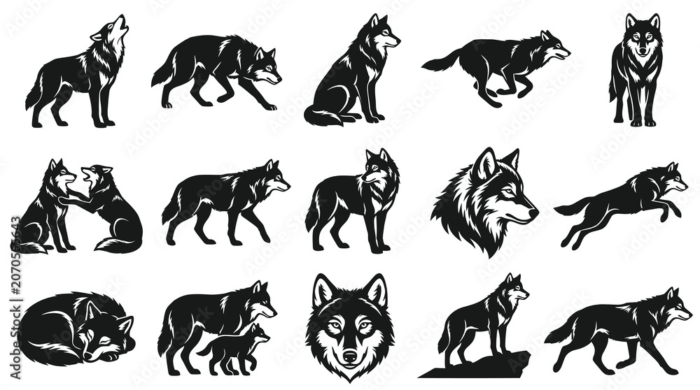 Obraz premium Animal Wildlife Wolf Black and White Vector Illustrations Set - Predator Graphic Designs Collection