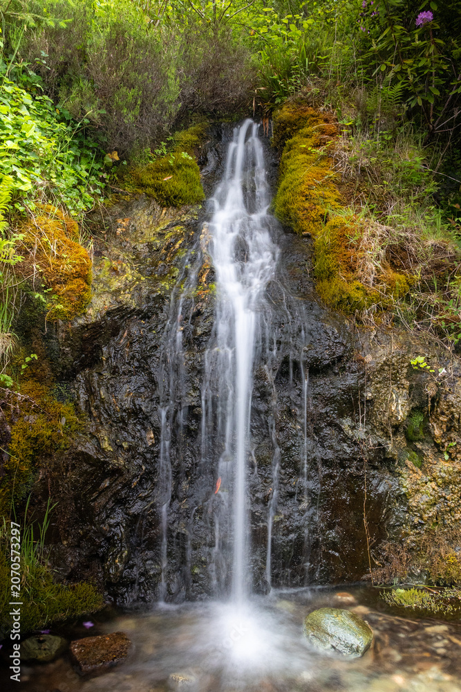 Fototapeta premium waterfall in the forest