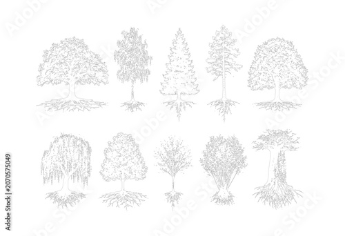 Cuadro en lienzo CAD tree section line drawing set, side view mixed trees with roots and grass fo