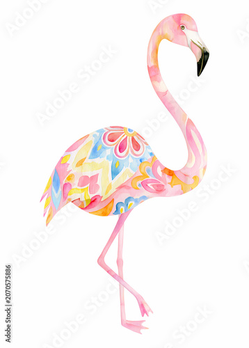 illustration of a flamingo