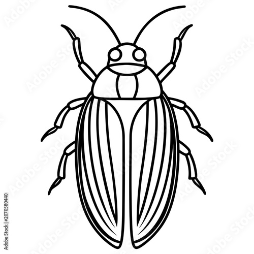 Black and white line art illustration of a beetle insect