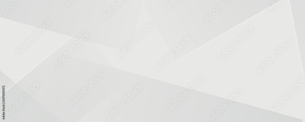 Fototapeta premium Abstract white and gray background. smooth abstract background, blurred pattern. Light pale vector background. Abstract pale geometric pattern eps 10