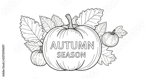 Autumn Season Pumpkin Illustration Design.