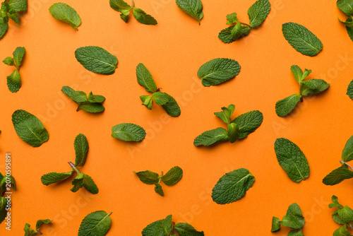 Fresh green mint leaves on white background, Mint leaves pattern Top view with copy space