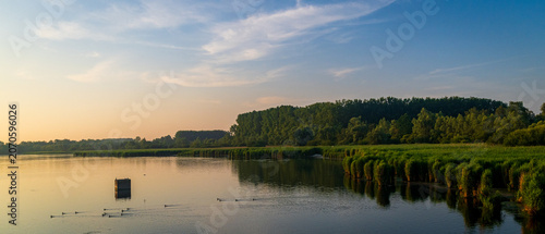 Peaceful Reflections at Sunrise in Belgian Wetlands