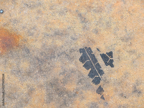 abstract form and texture on grunge floor