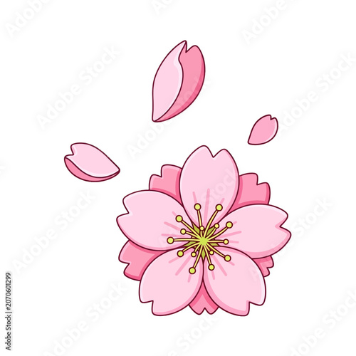 A beautiful pink flower with delicate falling petals on a white background