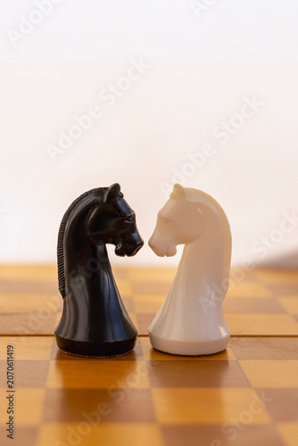 Black and white chess knight pieces standing face to face on chessboard, business competition concept.