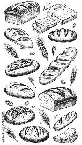 Bread sketches.