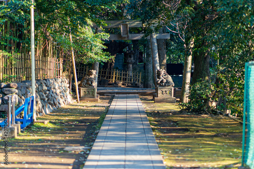 神社の参道