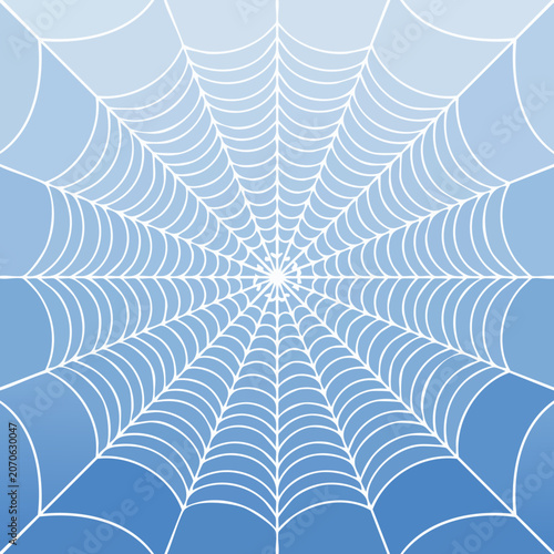Vector spider web on blue background. 