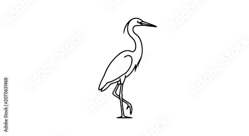 Bild auf Leinwand swan illustration, elegant swan, swimming swan, black and white swan, bird line