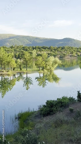 Serene Alpine Waters: Snowy Peaks Reflected in a Tranquil Forest Lake