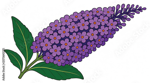 Purple Flower Buds and Green Leaves.