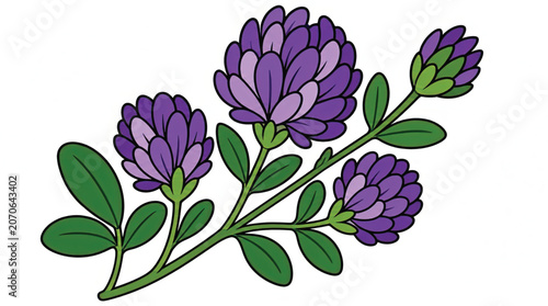 Purple Flower with Green Leaves Illustration.