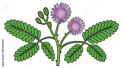 Purple Flower with Green Leaves Illustration.