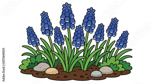 Purple flowers growing in garden soil.