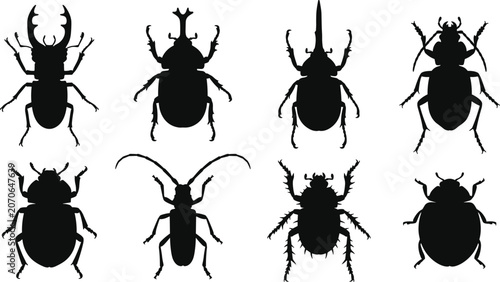Foto Beetle silhouette icons set including stag beetle rhinoceros beetle ladybug and