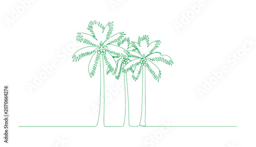 Coconut palms drawn in a modern one-line sketch style on a white background.