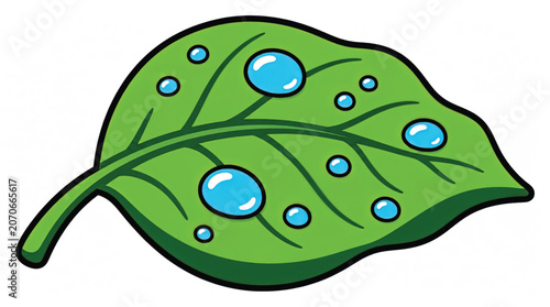 Green leaf with blue water drops.