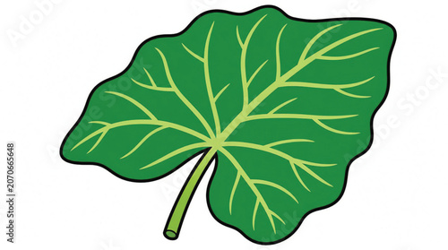 Green Leaf with Yellow Veins Illustration.