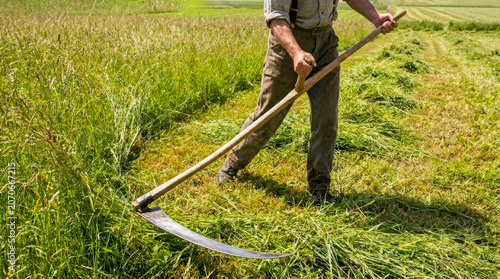 Traditional Scythe Mowing in a Green Field