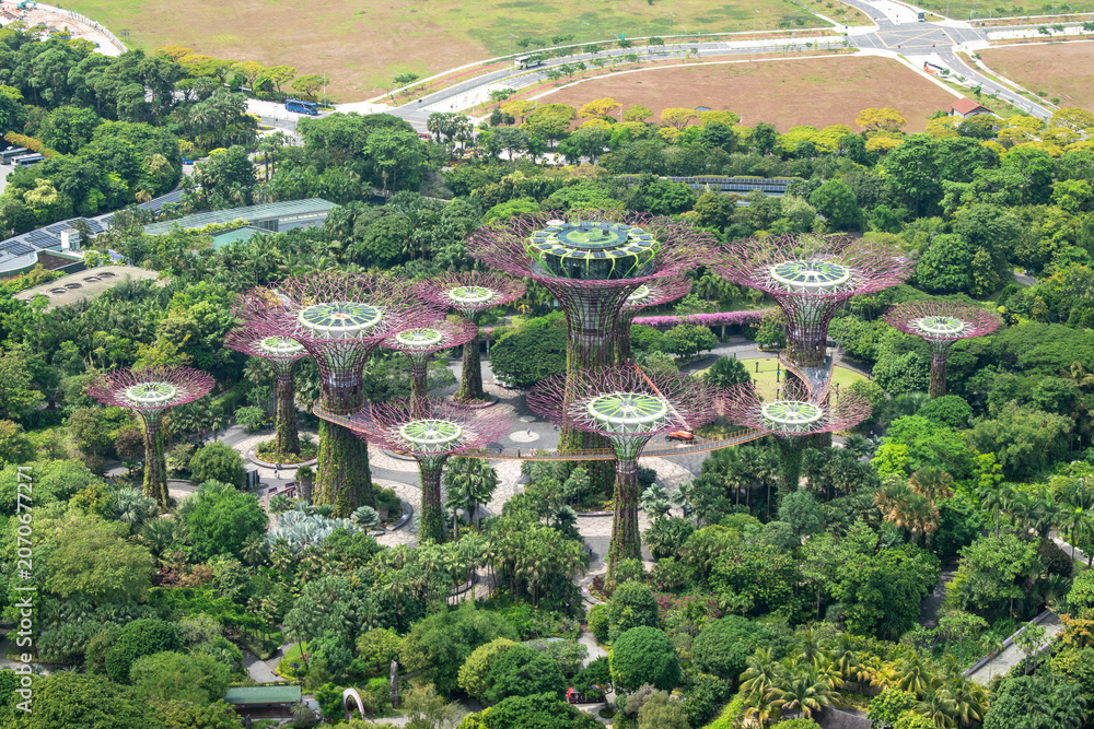 Fototapeta premium Aerial view detail of Gardens By the Bay, with futuristic vertical gardens in Singapore