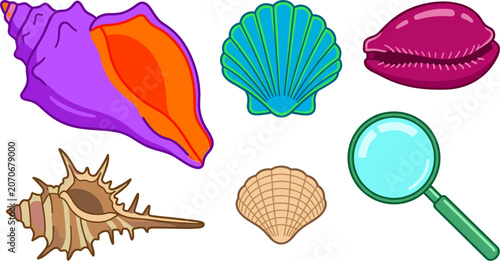 Cuadro en lienzo Beach Seashell and Ocean Marine Life Vector Set Featuring Purple Conch Shell Sca