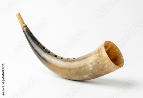 Traditional Handcrafted Curved Animal Horn Instrument