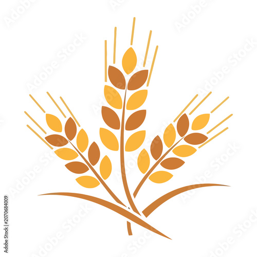 Wheat Stalks Vector Illustration