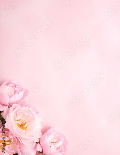 a pink background with flowers and a white frame