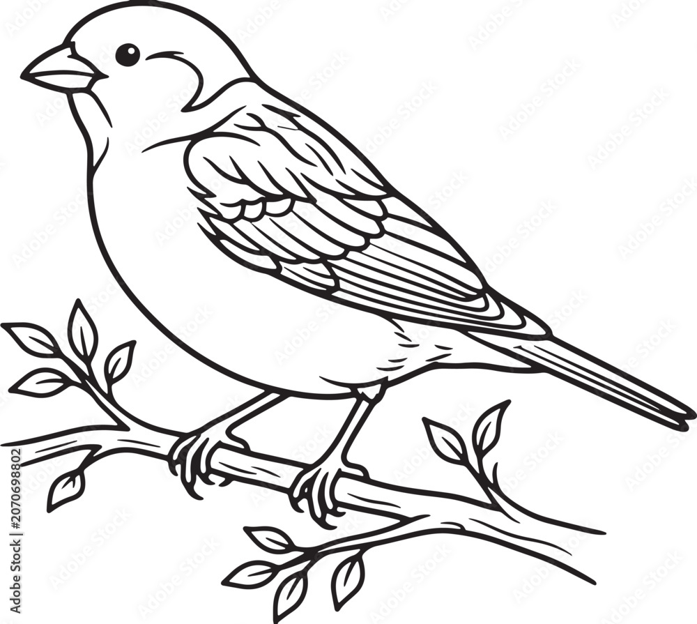 Fototapeta premium Perched Songbird on Twig with Leaves Line Art Illustration Black and White