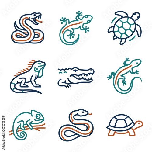 Reptile Icons Set: Snake, Lizard, Turtle, Iguana, Crocodile, Chameleon