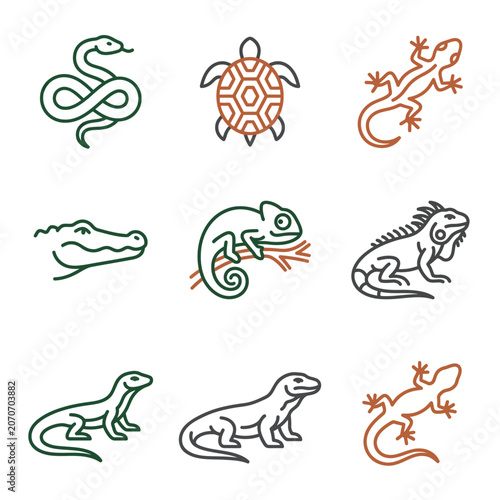 Set of Reptile Icons: Snake, Turtle, Lizard, Crocodile, Chameleon, Iguana, Monitor Lizard