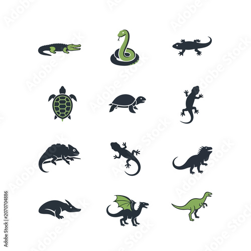 Set of Reptile and Dinosaur Icons: Alligator, Snake, Lizard, Turtle, Dragon, Dinosaur